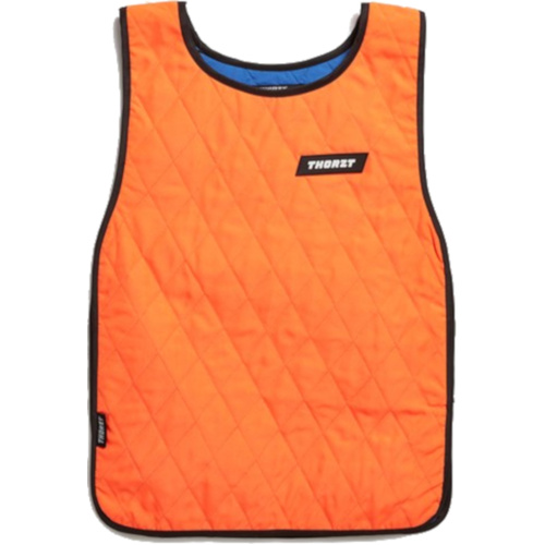 WORKWEAR, SAFETY & CORPORATE CLOTHING SPECIALISTS - COOLING SLIP-OVER VEST HI VIS ORANGE